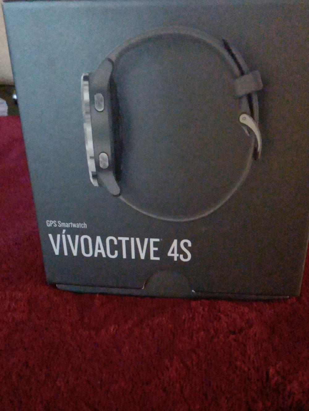 Garmin vivoactive 4S Smartwatch - Black